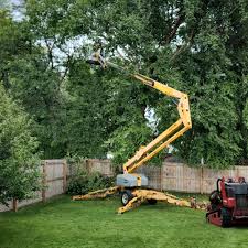 Best Seasonal Cleanup (Spring/Fall)  in Broadway, VA