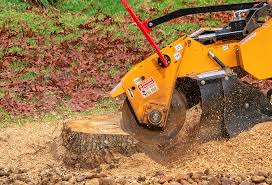 Professional Tree Services in Broadway, VA