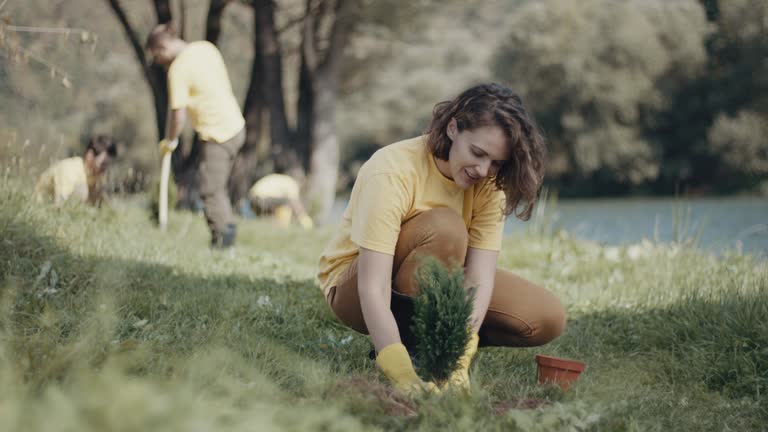 Best Pest Control for Lawns  in Broadway, VA