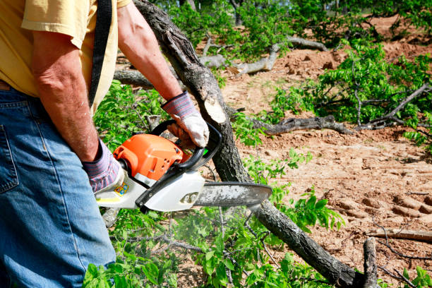 Best Aeration Services  in Broadway, VA